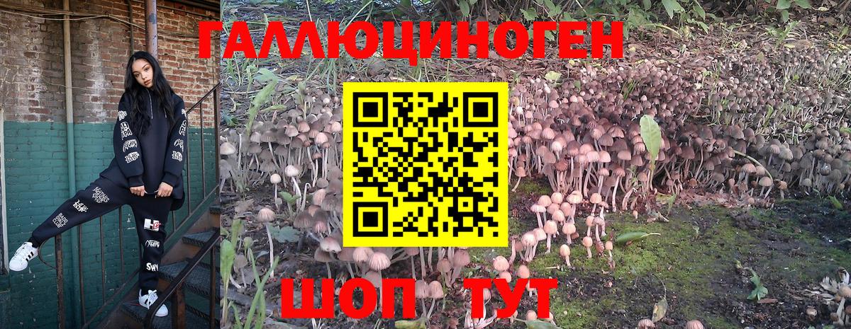 Псилоцибиновые грибы Magic Shrooms Армавир