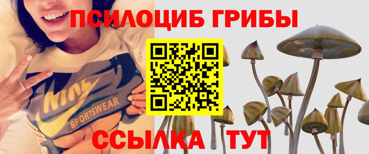 Галлюциногенные грибы GOLDEN TEACHER  закладки  Армавир  Вход с VPN 